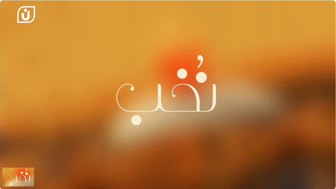 برنامج نخب في قناة "نبض طويق"